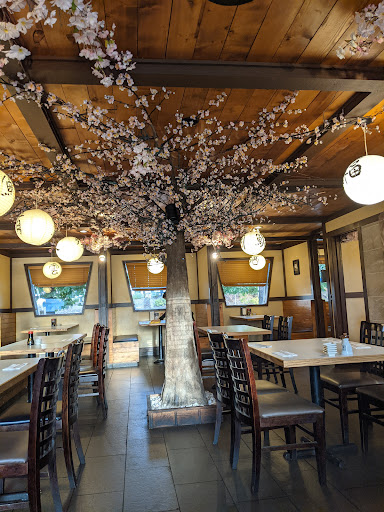 Photo of Sushi Sakura - 770 Oliver St, Williams Lake, BC V2G 1N1